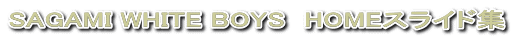 SAGAMI WHITE BOYS�@HOME�X���C�h�W